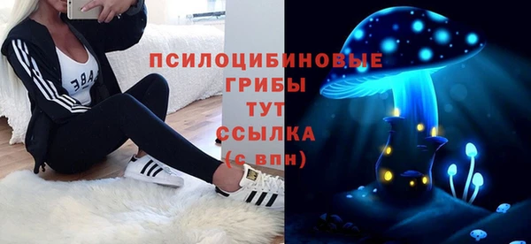 СК Абинск