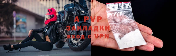 СК Абинск
