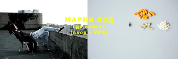 прущие грибы Абдулино
