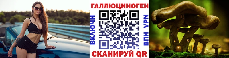 МЕГА зеркало  хочу   Сорск  Галлюциногенные грибы Psilocybe 